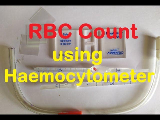 Total RBC Count Practical Lab