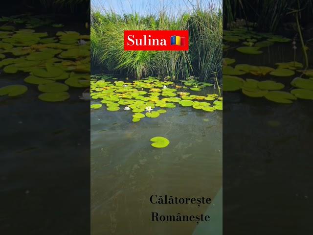 Sulina  #curiozitati #istorie #turism #fyp #trending #calatorie #romania #sulina #dunare #tulcea