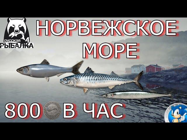 НОРВЕЖСКОЕ МОРЕФАРМ НА МЕЛКОЙ РЫБЕРусская Рыбалка 4(РР4)