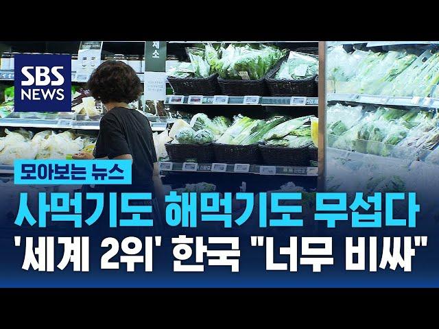 사먹기도 해먹기도 무섭다…'세계 2위' 한국 "너무 비싸" / SBS / 모아보는 뉴스
