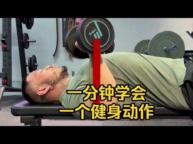 一分钟学会一个健身动作：哑铃平板卧推