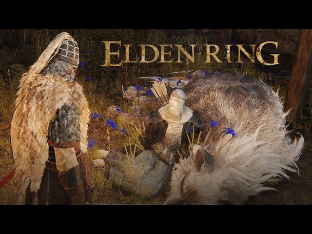 ДЕРЕВНЯ АЛЬБИНОРОВ - Elden Ring #19