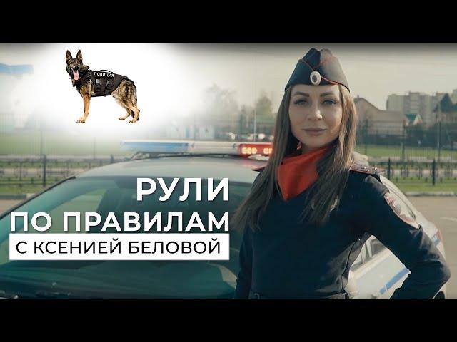 Выпуск 18: Работа полицейских кинологов