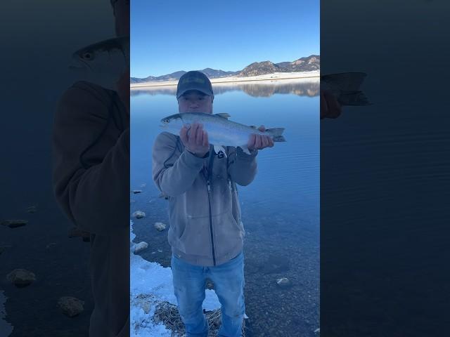 Here Is Seven Fishing At Beautiful 11 Mile Reservoir: Lake George, Colorado: #fishing #shorts #fun