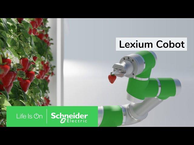 Lexium Cobot, the helping hand you are looking for | Schneider Electric