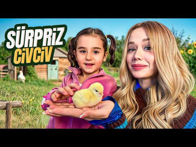 ÖYKÜ'YE DEV SÜRPRİZ ! CİVCİV ALDIK ( Adı Ne Olsun? ) | Gamze Karta Öykü Karta