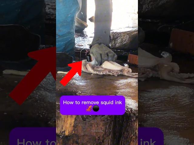 How to remove squid ink  #fish #fishcuting #fishcutting_skills #squid #squidlink #seafood