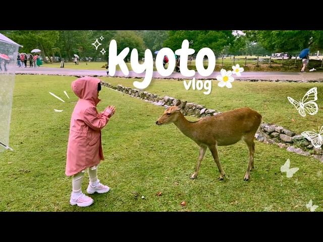 A Weekend in Kyoto: nara deers, making mochi, & temples