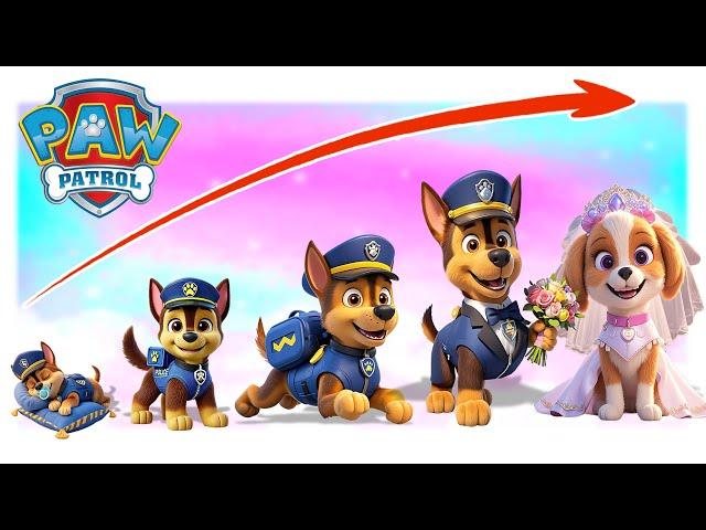 Paw Patrol Growing Up Compilation | Go WOW