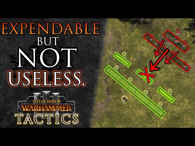 Why EXPENDABLE units can actually be VALUABLE - Total War Tactics: Warhammer 3