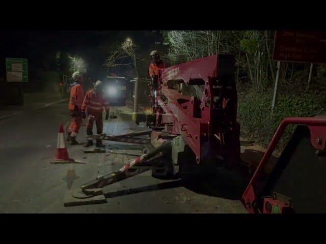Thompson Tree Services A6 Ash Dieback removal along Highway