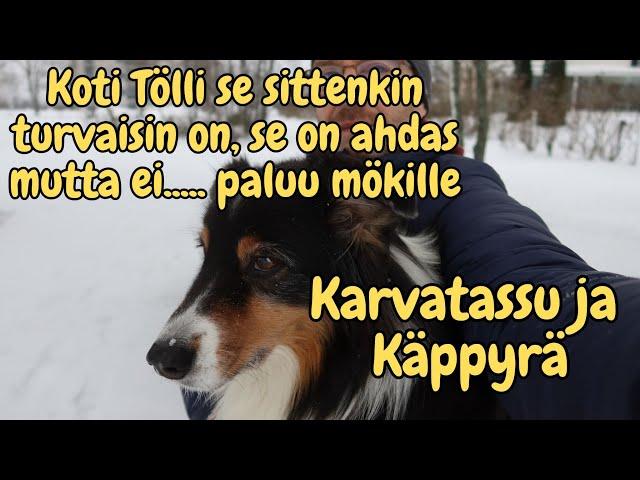 Paluu mökille. Kotitölli se sittenkin turvaisin on, se on ahdas, mutta ei.....