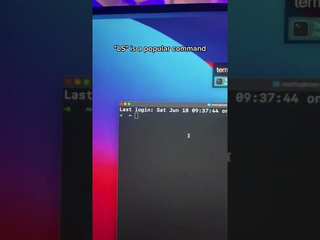  This terminal command will PUNISH you