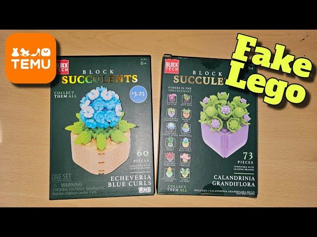  Building and Reviewing Fake Legos - Block Tech Succulents