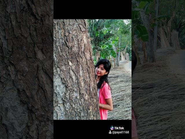 Payel1168 song