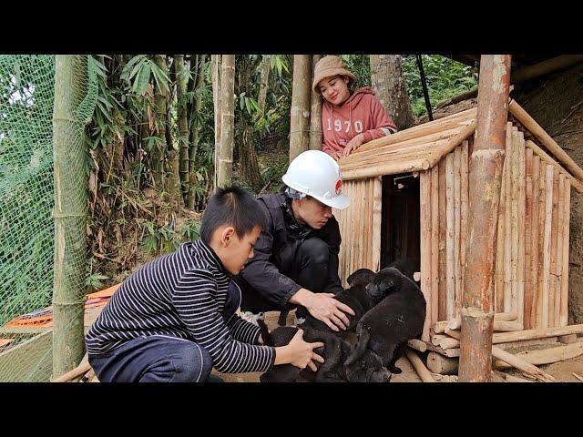 To protect the puppies from the cold, the engineer skillfully made a house for the puppies himself.