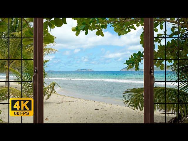 4K Tropical Beach window view in the Caribbean - Palm Trees, Ocean Sounds, Waves, White Noise