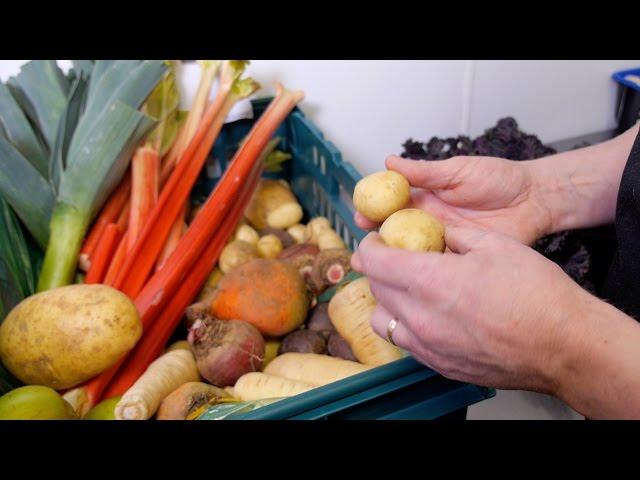 Traditional Ulster Roots and Shoots at Ballyrobin