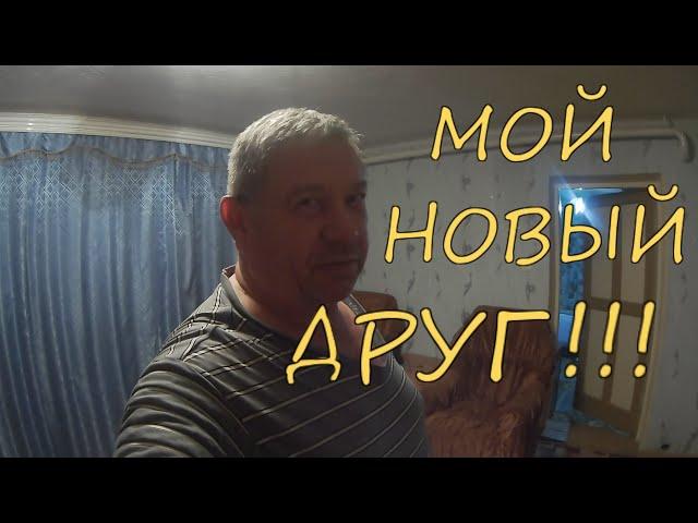 Знакомство с новым другом