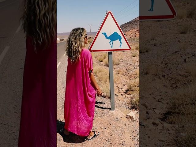 72 horas DESERTO DO SAARA?! #rio4fun #travel #morocco #sahara #marrocos