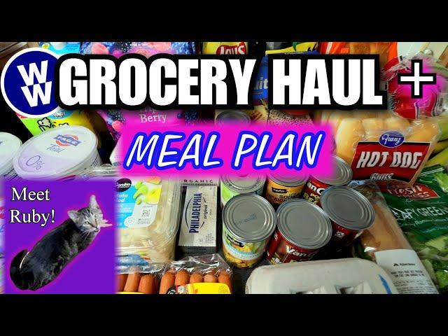 One Week Grocery Haul PLUS FAMILY FRIENDLY WW Meal Plan Menu! Weight Watchers  Points Included!