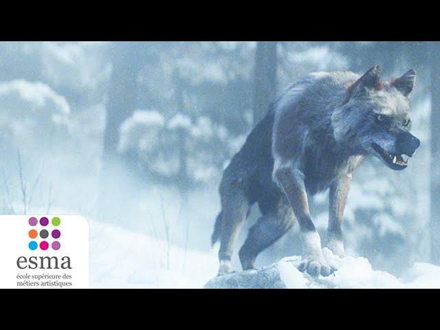 Alone a wolf's winter - ESMA 2020