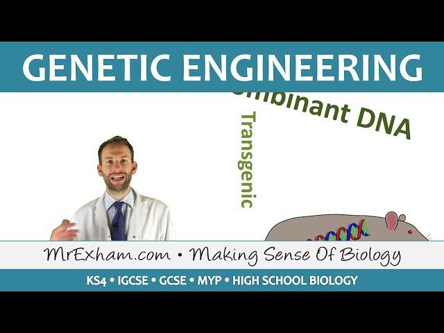 Genetic Engineering - GCSE Biology (9-1)