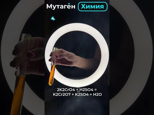 Волшебства хотите? Качественные реакции по химии #егэ #школково #химия #shortvideo #огэ#shorts