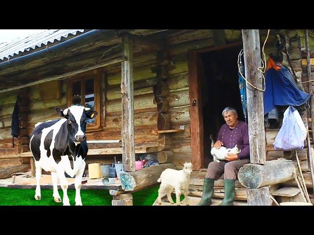 The life of an elderly grandfather in the mountains in a house without light. Far from civilization.