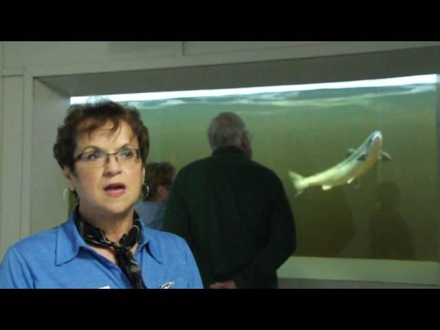 Torrent River Salmon Interpretation Centre
