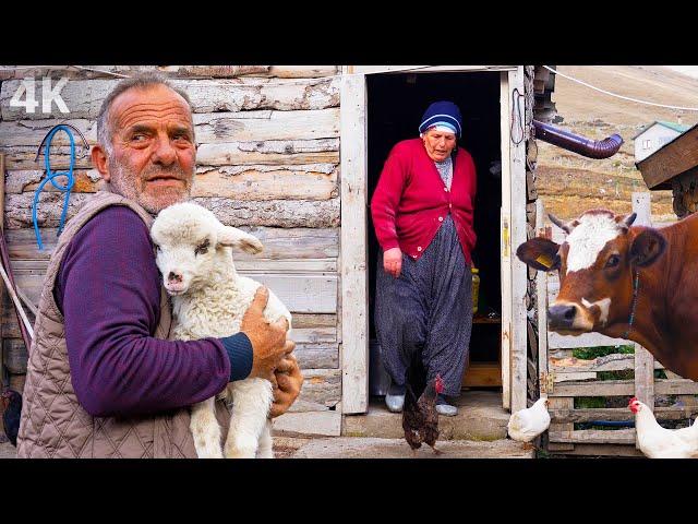 Plateau Life of the Family in the Mountains - Migration to the Village in Autumn - Documentary - 4K