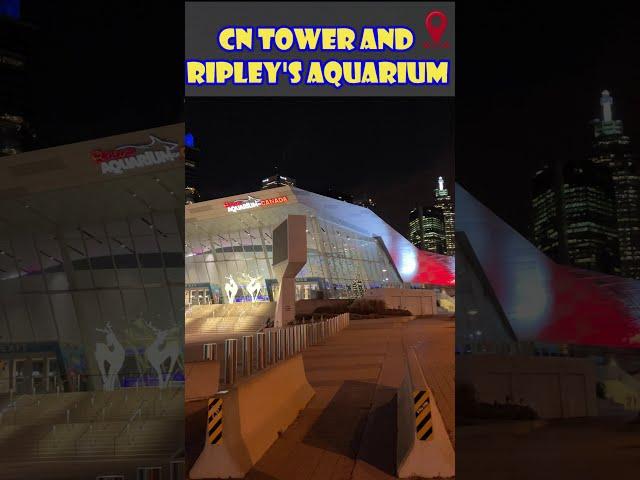 Ripley's aquarium and CN tower at night #shorts