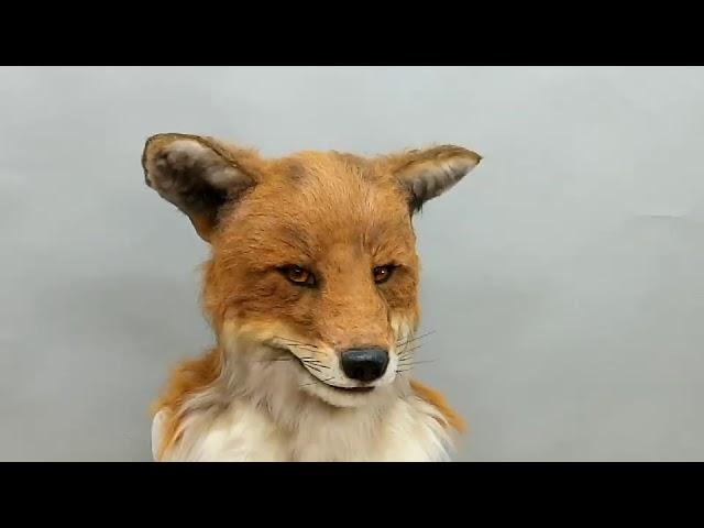 2018魔人社遙控狐狸面具mostudio animatronic red fox mask