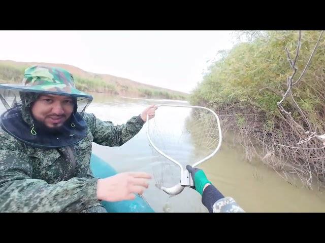 Рыбалка на сазана в низовьях Нуры и язи-гиганты #рыбалка #нура #сазан#fishing#ribalka#rybalka