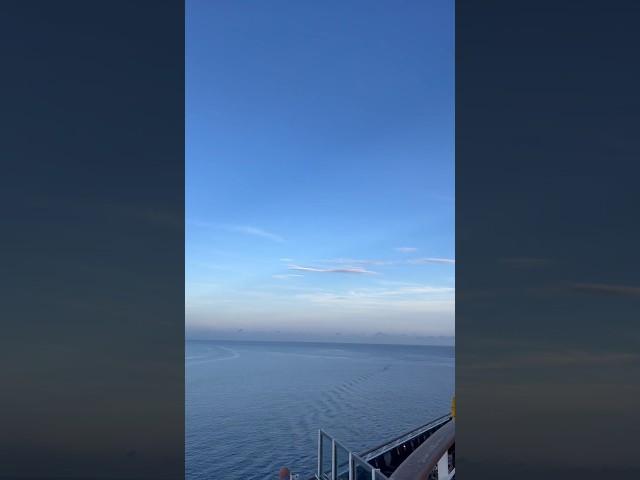 Amazing Seagull Hovering our ship upon arriving in Nassau Island,Bahamas. #shorts #asmr #viralvideo