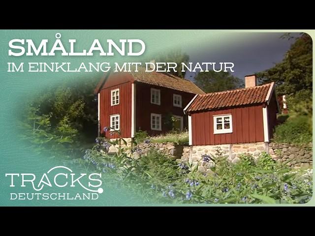 Doku: Leben im Naturparadies Smålands | Reisedoku | TRACKS Deutschland