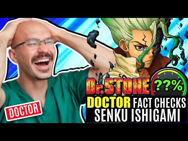 Doctor Fact-Checks Dr Stone Anime