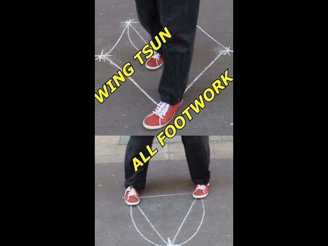 WTAC: Wing Tsun All FootWork