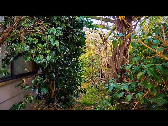 This GARDEN DISASTER was POST APOCALYPTIC