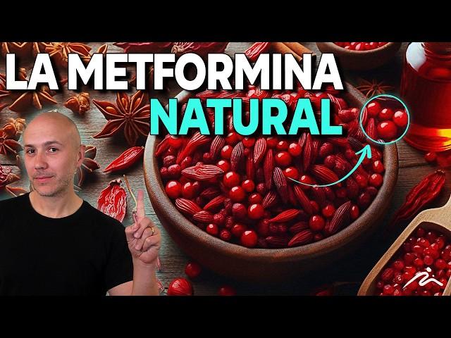 ¡CONTROLA la DIABETES con BERBERINA! El clon NATURAL de la METFORMINA