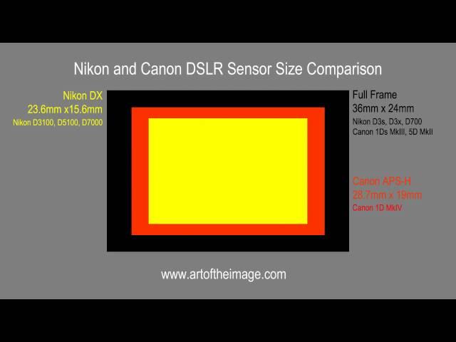 Nikon DSLR Sensor Sizes and Canon DSLR Sensor Sizes Compared