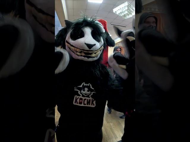 Ты тоже собака #фурри #фурсьют #косплей