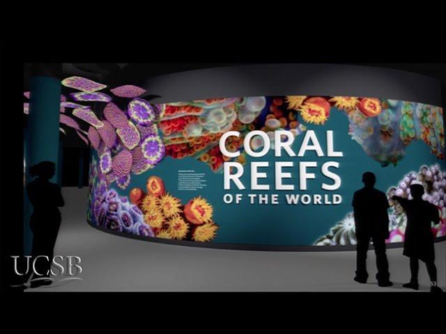 Adventures in Science Communication: Shifting from the Lab to a Museum