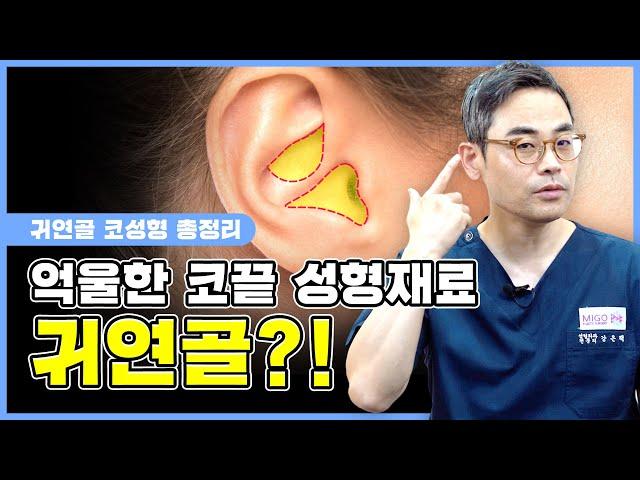 억울한 코끝성형 재료 귀연골?! 귀연골 코성형 총정리!