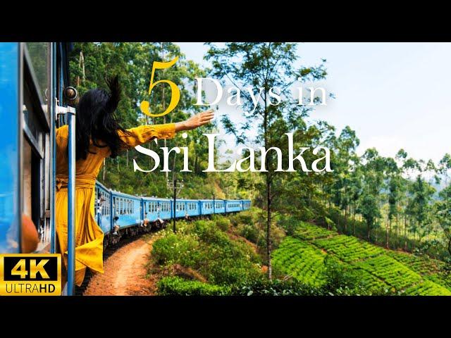 How to Spend 5 Days in SRI LANKA | The Perfect Travel Itinerary