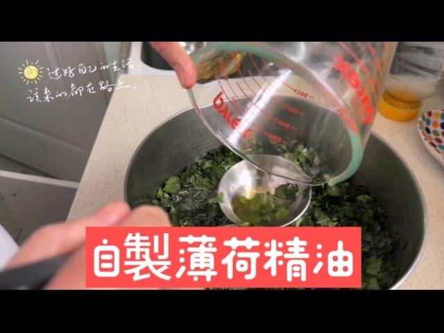 《薄荷精油》家裡薄荷爆盆了試著將它做成薄荷精油及薄荷油膏想不到效果好極了#ivy88856#ivy家在多倫多