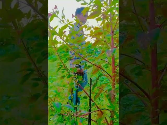 Pahli Pahli baar mohabbat ki hain #trending #viral #fyp #short videos @Sandeep Kumar official 33