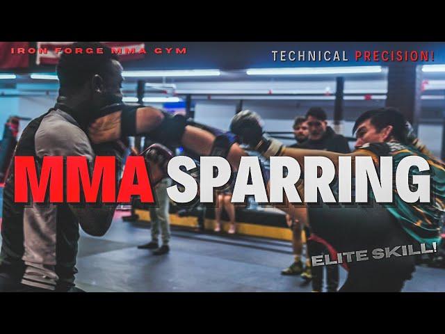 ELITE MULTI GYM MMA SPARRING! | IRON FORGE GYM #boxing  #muaythai #mma #sparring #kickboxing #bjj