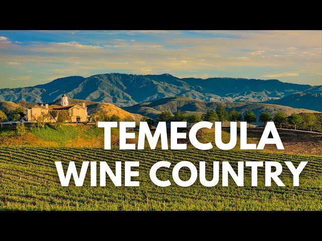 TEMECULA WINE COUNTRY - Callaway Winery, Ponte Winery, Bottaia Winery, and Leoness Cellars