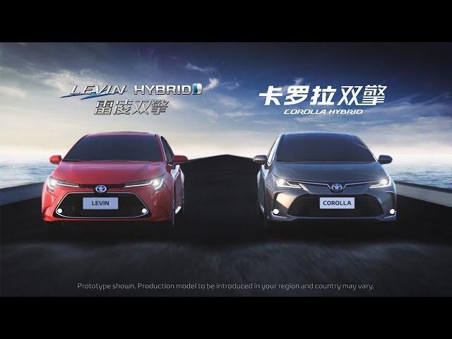 New Corolla and Levin Guangzhou Motor Show reveal video